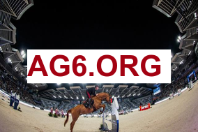 焦点场直播：西汉姆联 vs 诺丁汉森林